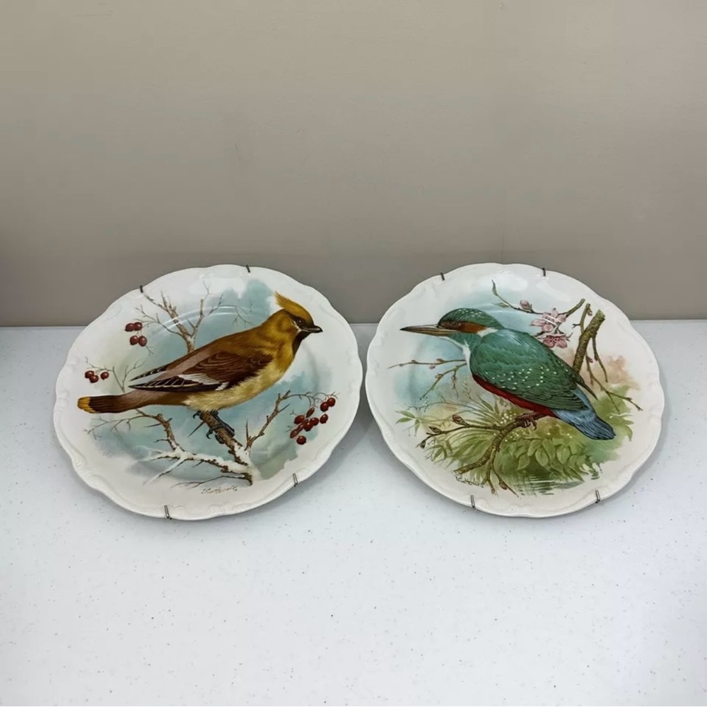 Vintage Johann Haviland Bavaria Germany Docorative Bird 10” Plates Set RARE